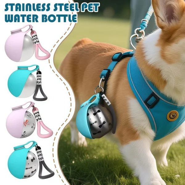 2-in-1 Portable Dog Water Bottle Stainless Steel Bottle