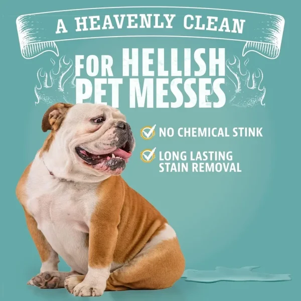 Enzyme Pet Stain Odor Remover Multi-Surface Cleaner